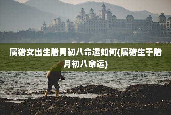 属猪女出生腊月初八命运如何(属猪生于腊月初八命运)