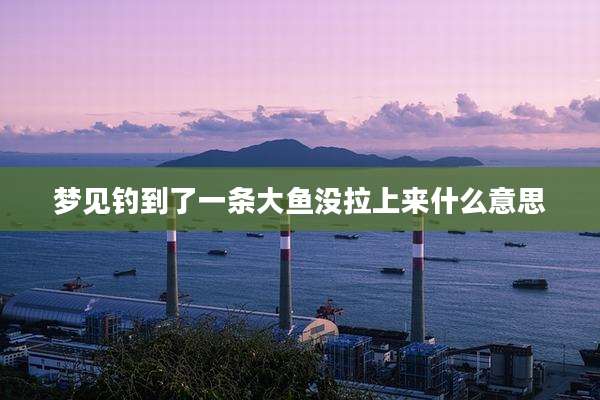 梦见钓到了一条大鱼没拉上来什么意思