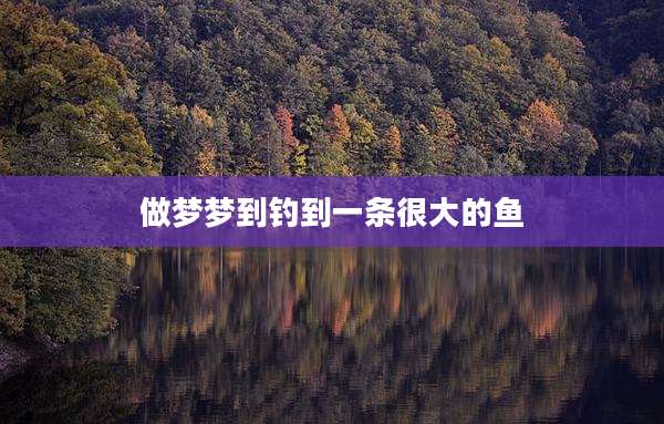 做梦梦到钓到一条很大的鱼