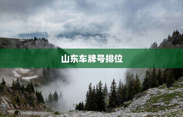 山东车牌号排位