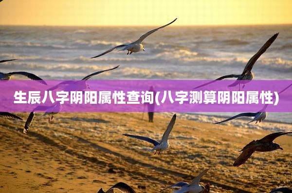 生辰八字阴阳属性查询(八字测算阴阳属性)