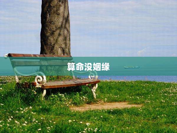 算命没姻缘
