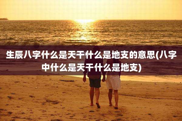 生辰八字什么是天干什么是地支的意思(八字中什么是天干什么是地支)