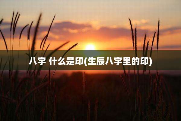 八字 什么是印(生辰八字里的印)