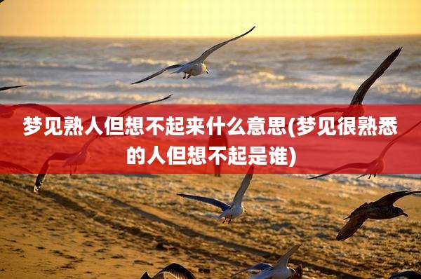 梦见熟人但想不起来什么意思(梦见很熟悉的人但想不起是谁)