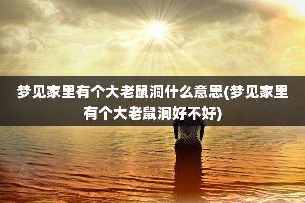 梦见家里有个大老鼠洞什么意思(梦见家里有个大老鼠洞好不好)