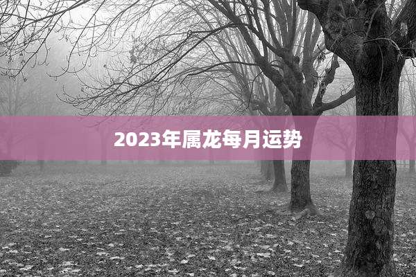 2023年属龙每月运势