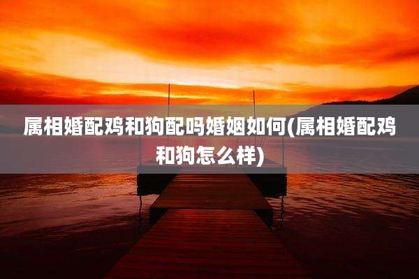 属相婚配鸡和狗配吗婚姻如何(属相婚配鸡和狗怎么样)