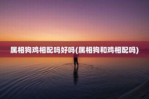 属相狗鸡相配吗好吗(属相狗和鸡相配吗)