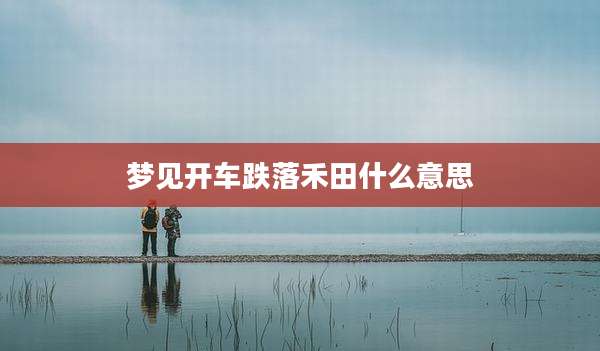 梦见开车跌落禾田什么意思