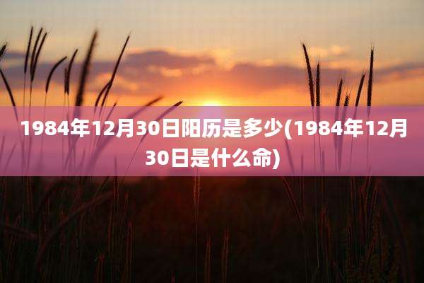 1984年12月30日阳历是多少(1984年12月30日是什么命)