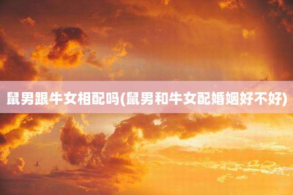 鼠男跟牛女相配吗(鼠男和牛女配婚姻好不好)