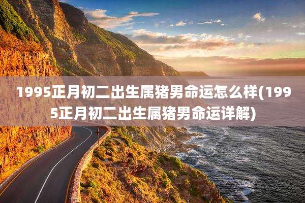 1995正月初二出生属猪男命运怎么样(1995正月初二出生属猪男命运详解)