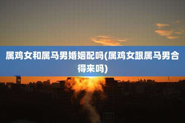 属鸡女和属马男婚姻配吗(属鸡女跟属马男合得来吗)