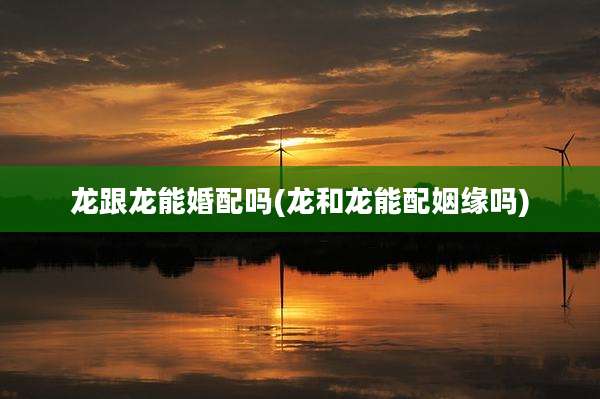 龙跟龙能婚配吗(龙和龙能配姻缘吗)