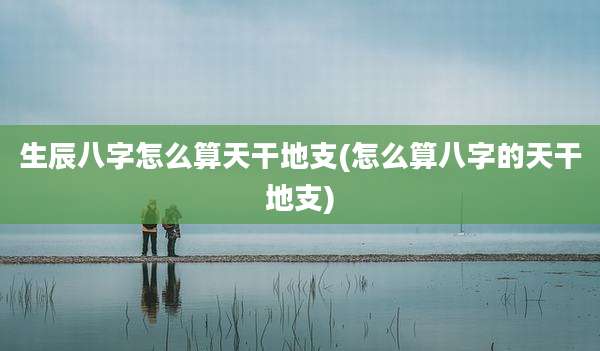 生辰八字怎么算天干地支(怎么算八字的天干地支)