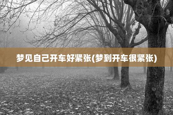 梦见自己开车好紧张(梦到开车很紧张)