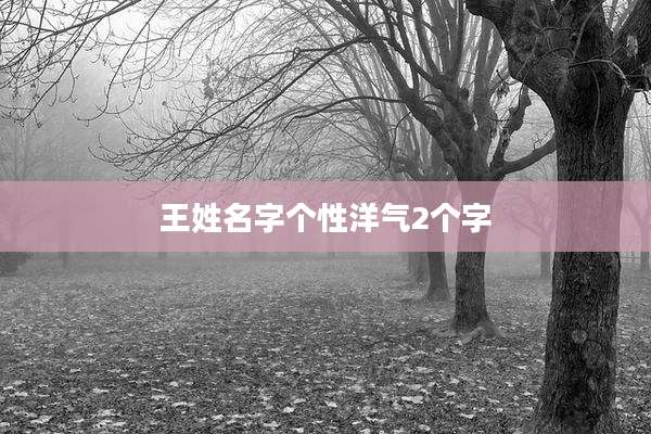 王姓名字个性洋气2个字