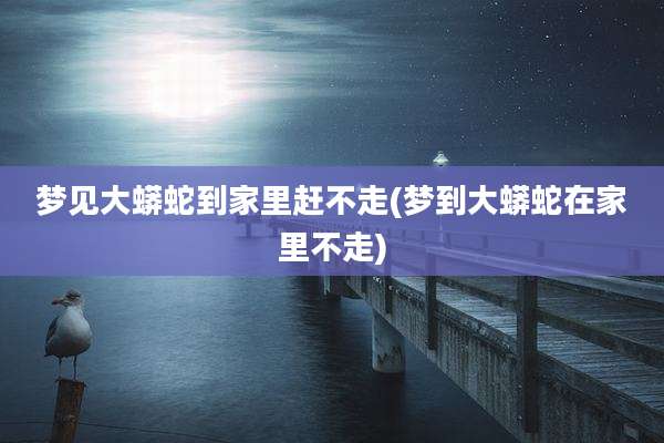 梦见大蟒蛇到家里赶不走(梦到大蟒蛇在家里不走)