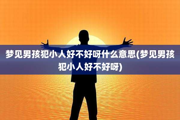 梦见男孩犯小人好不好呀什么意思(梦见男孩犯小人好不好呀)