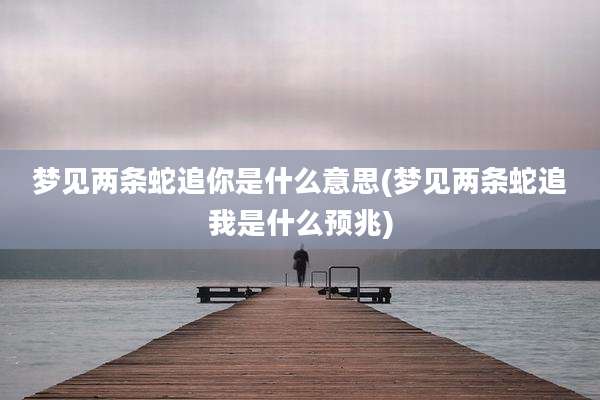 梦见两条蛇追你是什么意思(梦见两条蛇追我是什么预兆)