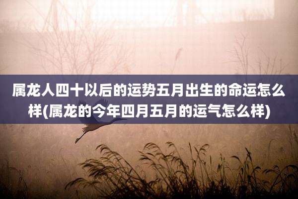 属龙人四十以后的运势五月出生的命运怎么样(属龙的今年四月五月的运气怎么样)