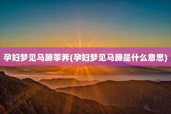 孕妇梦见马蹄荸荠(孕妇梦见马蹄是什么意思)