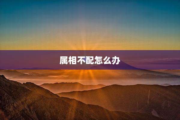 属相不配怎么办