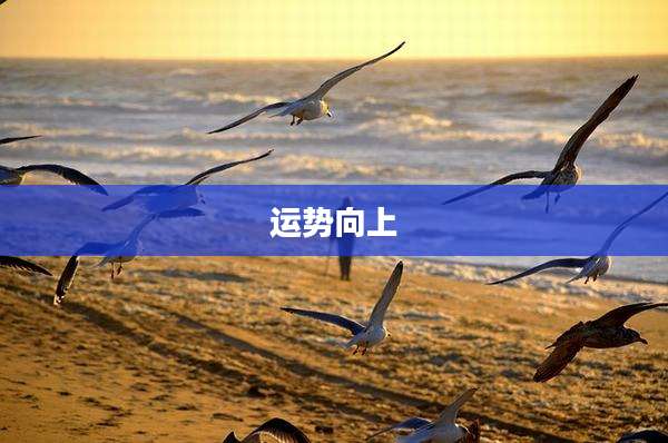 运势向上
