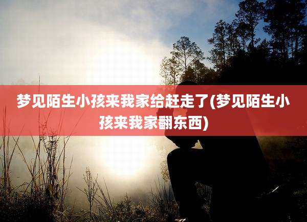 梦见陌生小孩来我家给赶走了(梦见陌生小孩来我家翻东西)