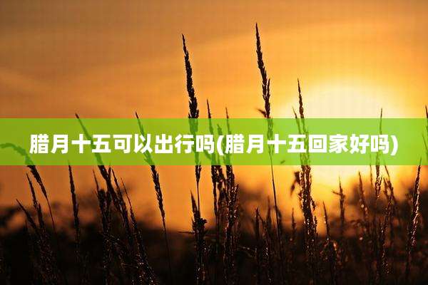 腊月十五可以出行吗(腊月十五回家好吗)