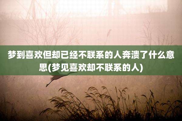 梦到喜欢但却已经不联系的人奔溃了什么意思(梦见喜欢却不联系的人)