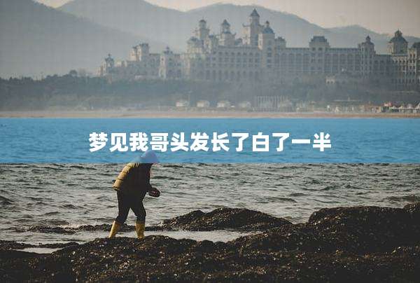 梦见我哥头发长了白了一半