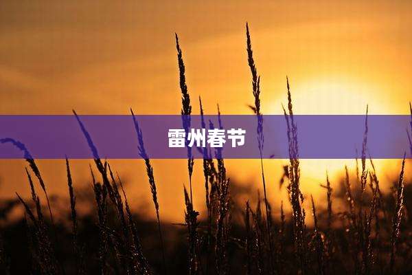 雷州春节