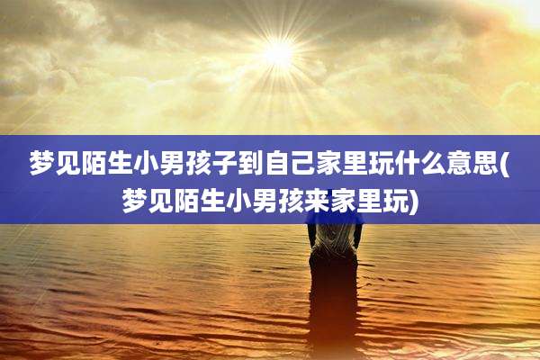 梦见陌生小男孩子到自己家里玩什么意思(梦见陌生小男孩来家里玩)