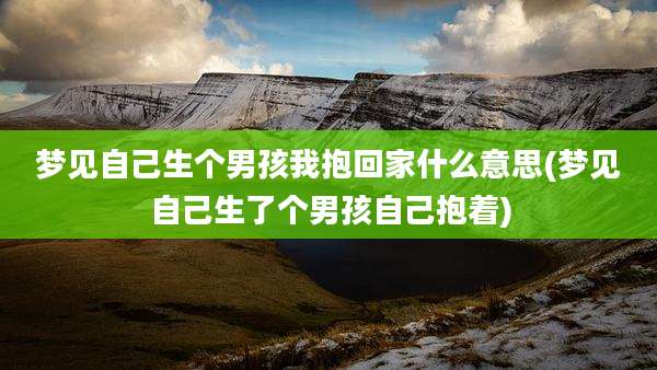 梦见自己生个男孩我抱回家什么意思(梦见自己生了个男孩自己抱着)