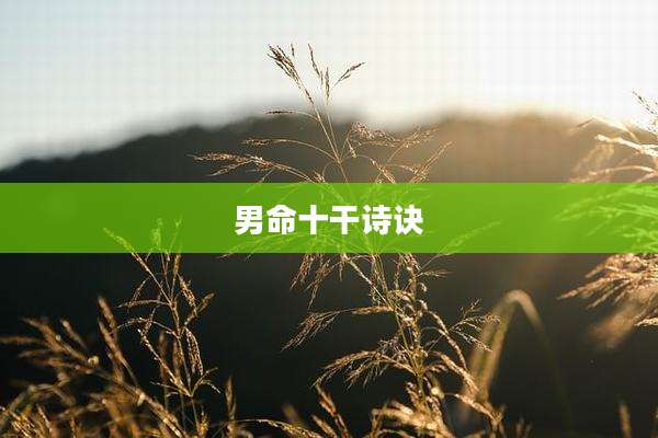 男命十干诗诀