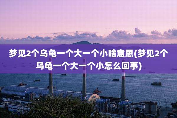 梦见2个乌龟一个大一个小啥意思(梦见2个乌龟一个大一个小怎么回事)