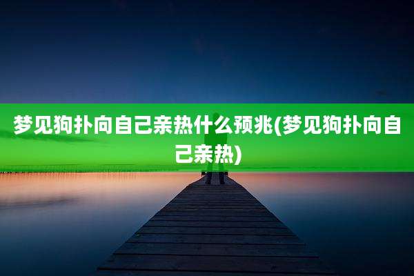 梦见狗扑向自己亲热什么预兆(梦见狗扑向自己亲热)