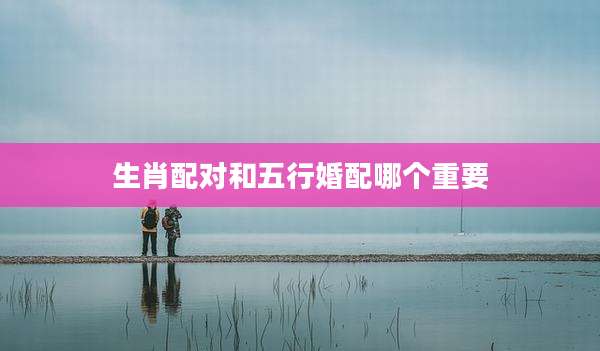 生肖配对和五行婚配哪个重要