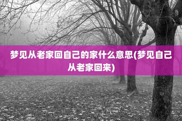 梦见从老家回自己的家什么意思(梦见自己从老家回来)