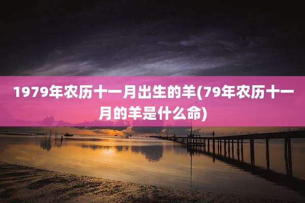 1979年农历十一月出生的羊(79年农历十一月的羊是什么命)