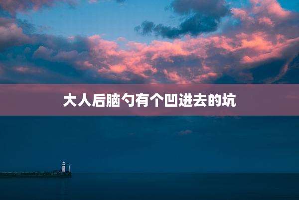 大人后脑勺有个凹进去的坑
