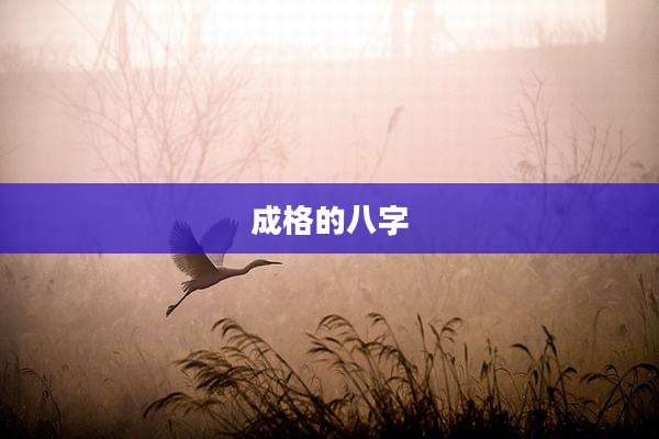 成格的八字