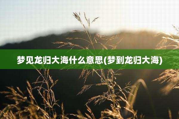 梦见龙归大海什么意思(梦到龙归大海)
