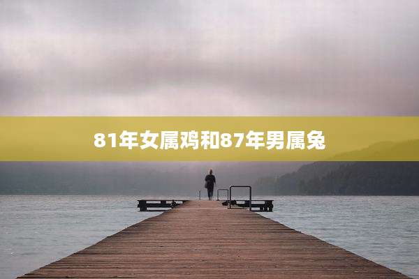 81年女属鸡和87年男属兔