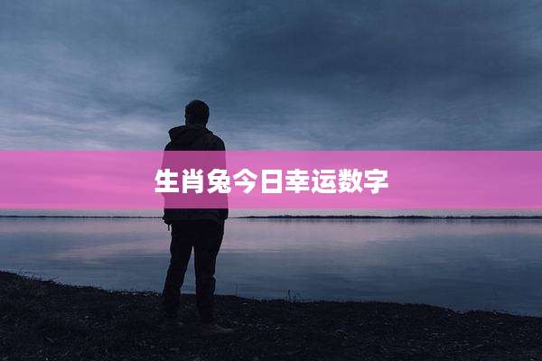 生肖兔今日幸运数字