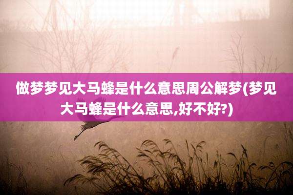 做梦梦见大马蜂是什么意思周公解梦(梦见大马蜂是什么意思,好不好?)