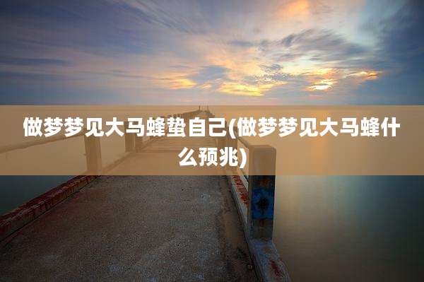 做梦梦见大马蜂蛰自己(做梦梦见大马蜂什么预兆)