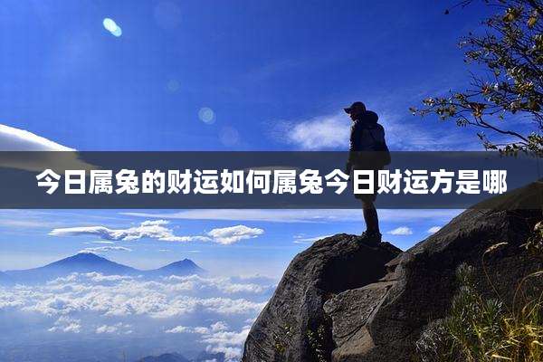 今日属兔的财运如何属兔今日财运方是哪